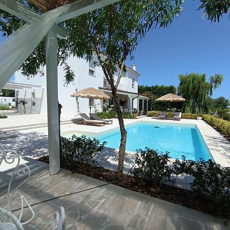 Tenuta Viale Degli Ulivi San Martino in Pensilis Eksteriør billede