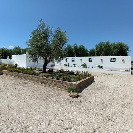 Tenuta Viale Degli Ulivi San Martino in Pensilis Eksteriør billede
