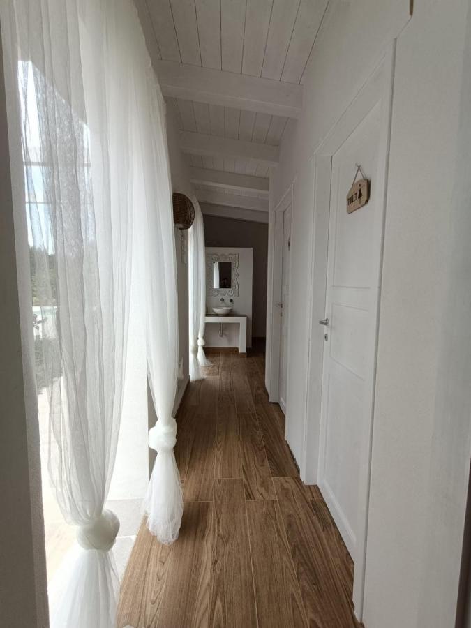Tenuta Viale Degli Ulivi San Martino in Pensilis Eksteriør billede