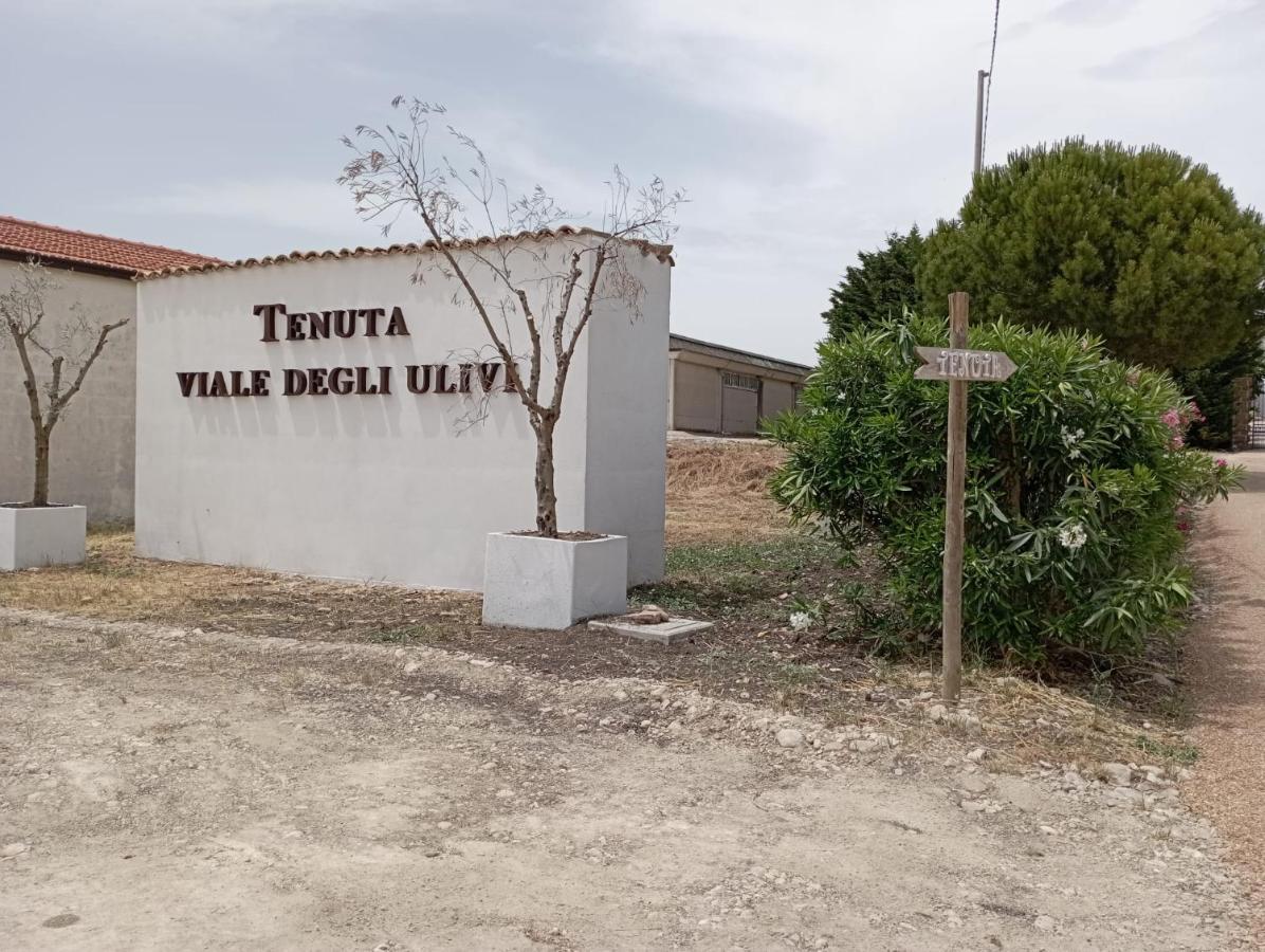 Tenuta Viale Degli Ulivi San Martino in Pensilis Eksteriør billede