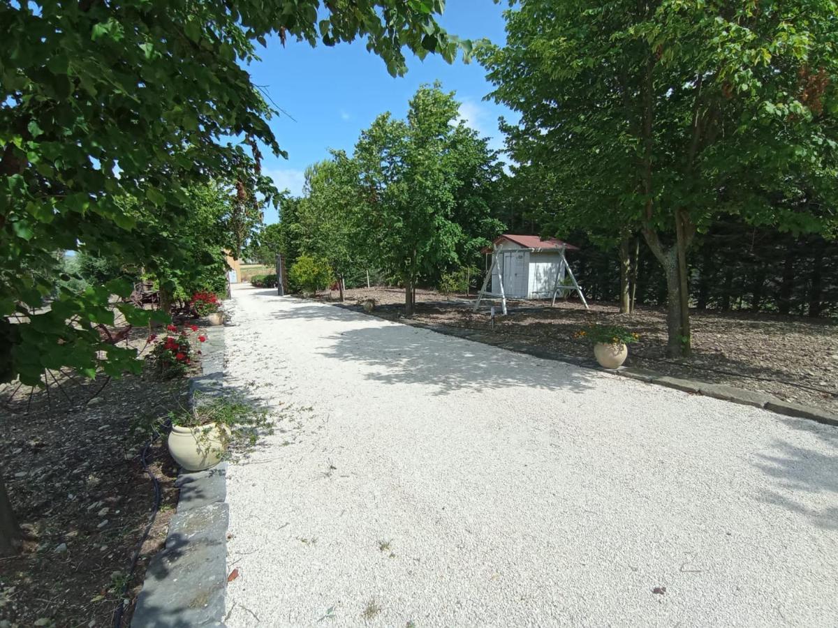 Tenuta Viale Degli Ulivi San Martino in Pensilis Eksteriør billede