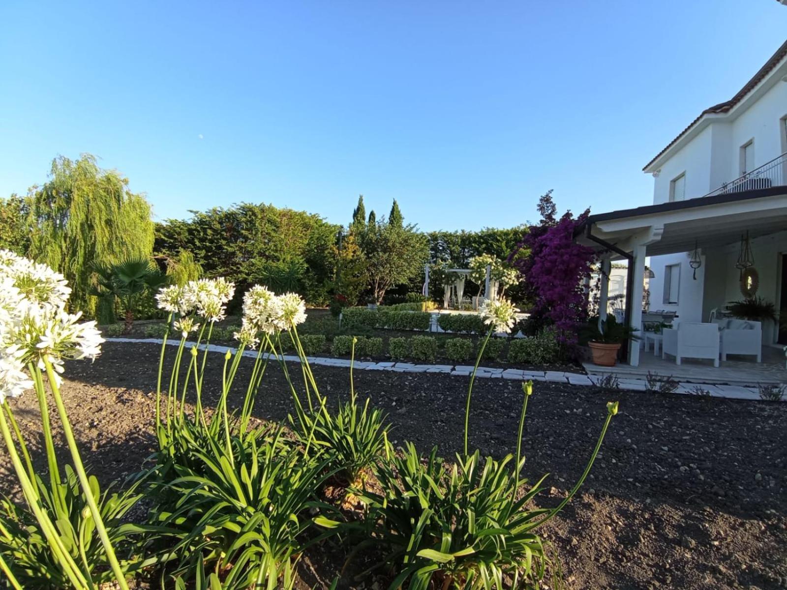 Tenuta Viale Degli Ulivi San Martino in Pensilis Eksteriør billede