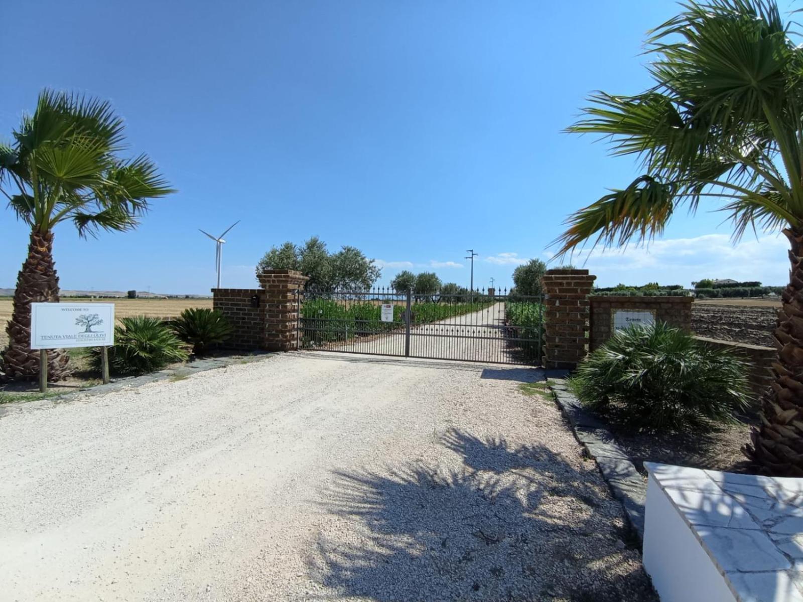 Tenuta Viale Degli Ulivi San Martino in Pensilis Eksteriør billede