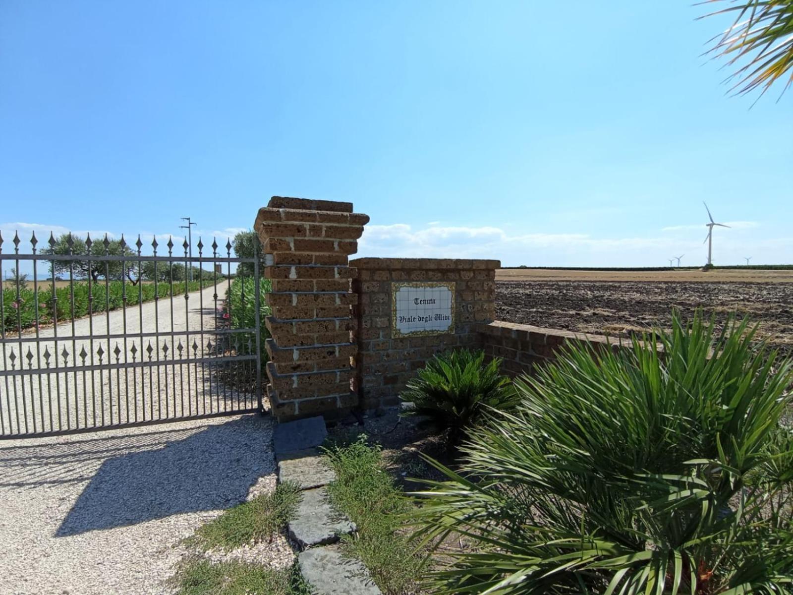 Tenuta Viale Degli Ulivi San Martino in Pensilis Eksteriør billede