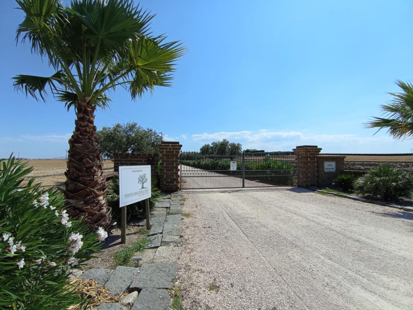 Tenuta Viale Degli Ulivi San Martino in Pensilis Eksteriør billede