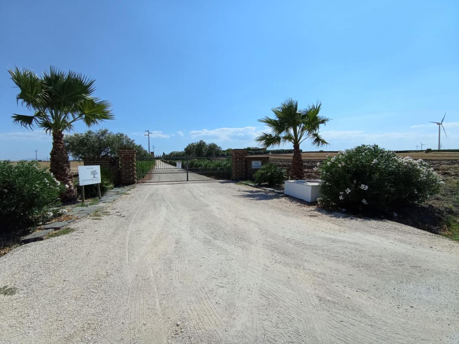 Tenuta Viale Degli Ulivi San Martino in Pensilis Eksteriør billede